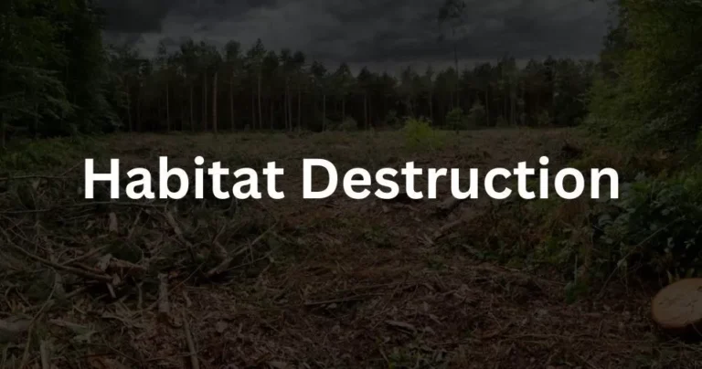 Habitat Destruction