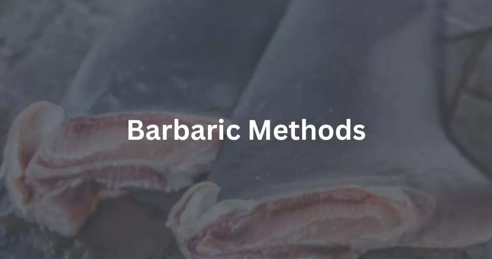 Barbaric Methods