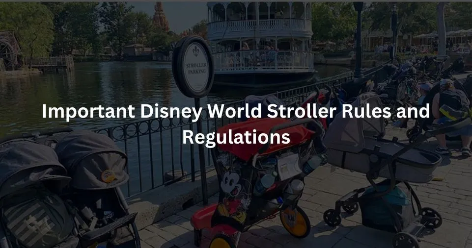  Disney World Stroller