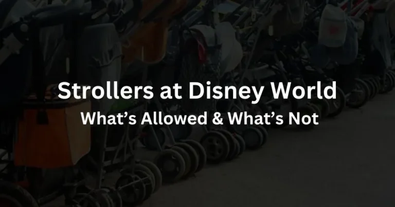 Strollers at Disney World: What’s Allowed & What’s Not