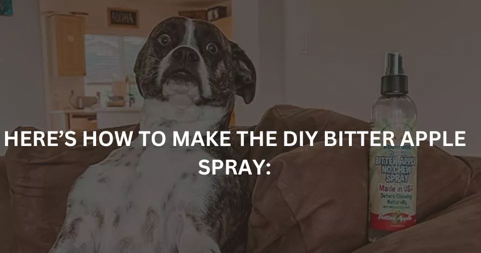 HERE’S HOW TO MAKE THE DIY BITTER APPLE SPRAY: