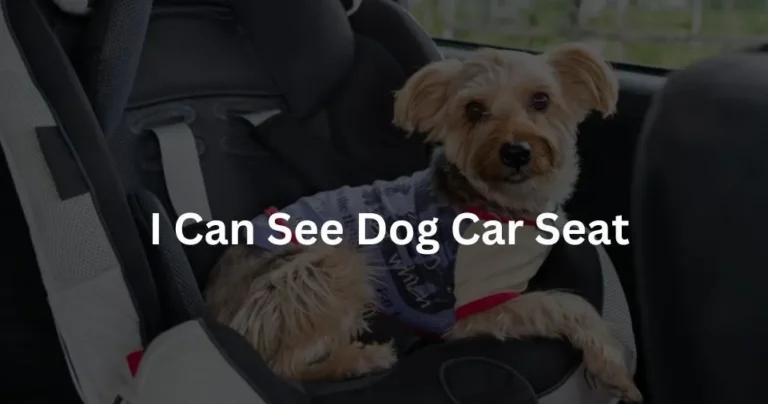 I Can See Dog Car Seat