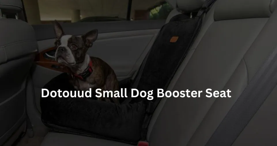 Dotouud Small Dog Booster Seat