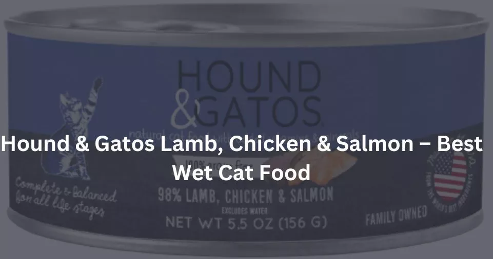 Hound & Gatos Lamb, Chicken & Salmon – Best Wet Cat Food