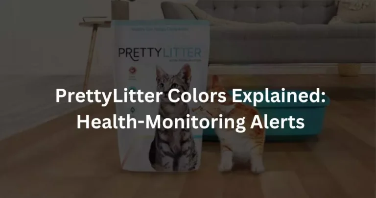 PrettyLitter Colors Explained: Health-Monitoring Alerts
