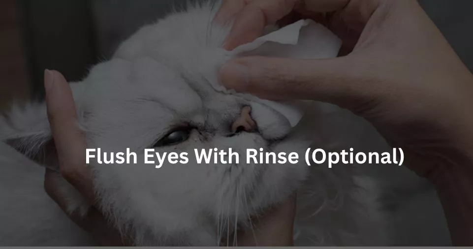 Flush Eyes With Rinse (Optional)