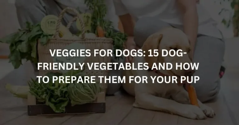 VEGGIES FOR DOGS: 15 DOG-FRIENDLY VEGETABLES AND HOW TO PREPARE THEM FOR YOUR PUP