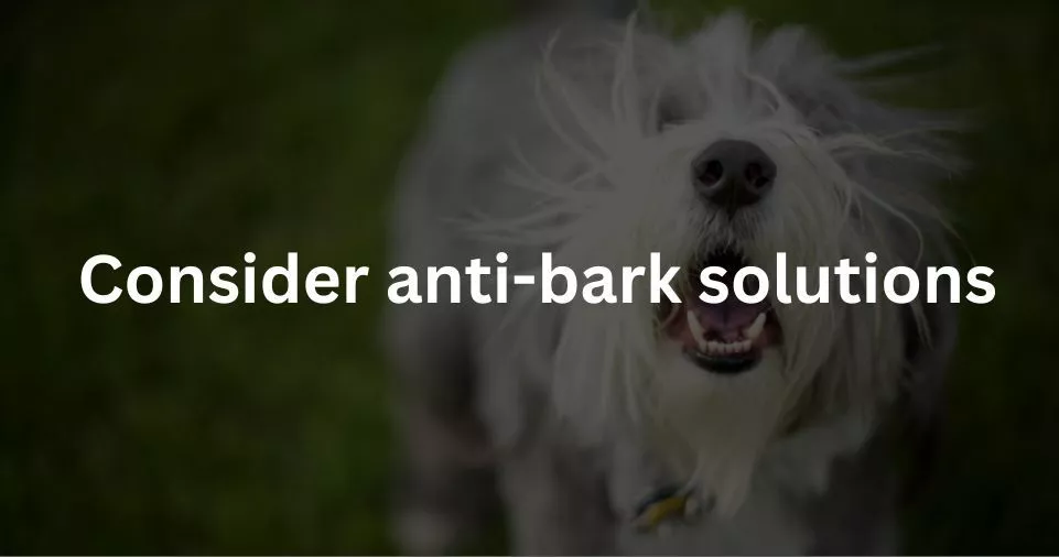 Consider anti-bark solutions.