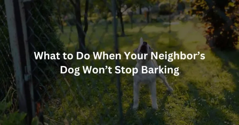 What to Do When Your Neighbor’s Dog Won’t Stop Barking