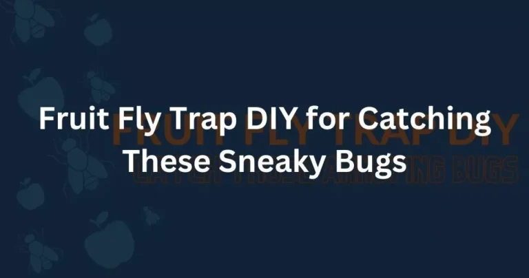 Fruit Fly Trap DIY for Catching These Sneaky Bugs
