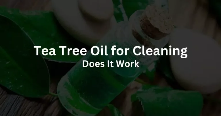 Tea Tree Oil for Cleaning: Does It Work?