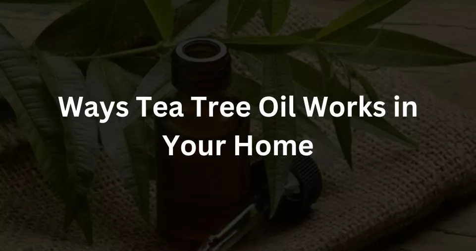 Ways Tea Tree Oil Works in Your Home